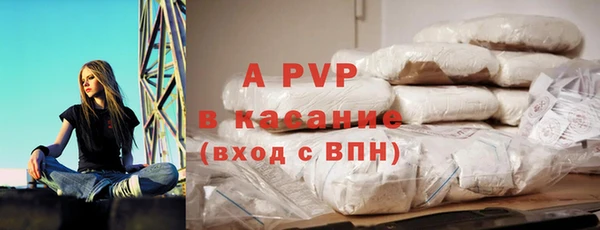 гидра Ельня