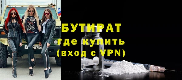 гидра Ельня