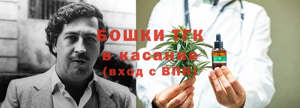 гидра Ельня