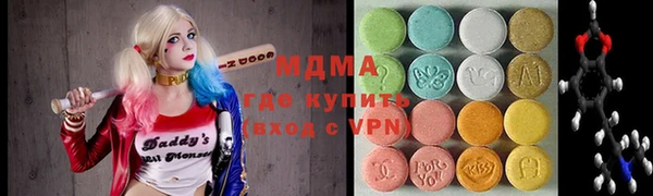 гидра Ельня