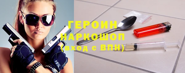гидра Ельня