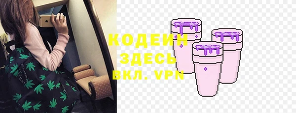 тгк Елизово