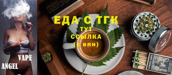 гидра Ельня