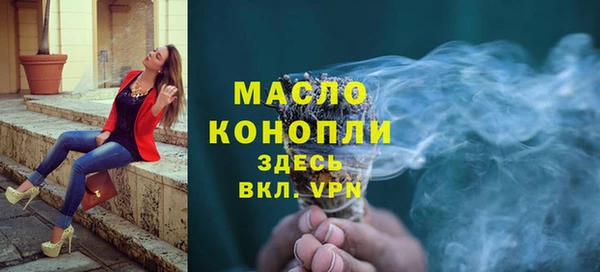гидра Ельня