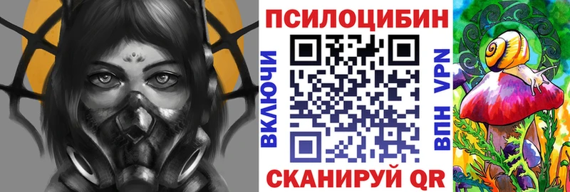 Галлюциногенные грибы мицелий  блэк спрут сайт  Пушкино  что такое наркотик 