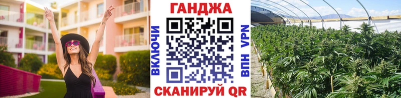блэк спрут как зайти  Пушкино  Бошки Шишки гибрид 